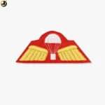 Golden PARA Wings Badge (Embroidery) (Size - 9.5cm X 3.5cm)