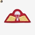 Golden PARA Wings Badge (Embroidery) (Size - 9.5cm X 3.5cm)
