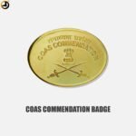 COAS Commendation Badge - Image 2