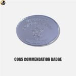 Chief of The Air Staff Commendation Badge - Image 2