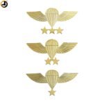 Jumps PARA Wings Metal Badge with Pin Back