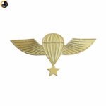 Jumps PARA Wings Metal Badge with Pin Back - Image 4