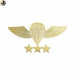 Jumps PARA Wings Metal Badge with Pin Back - Image 2