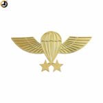 Jumps PARA Wings Metal Badge with Pin Back - Image 3